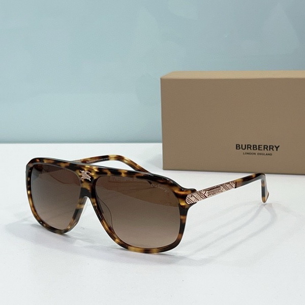 B**rry sunglasses(aaaa)-679