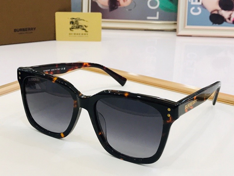 B**rry sunglasses(aaaa)-561