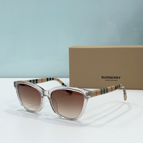 B**rry sunglasses(aaaa)-531