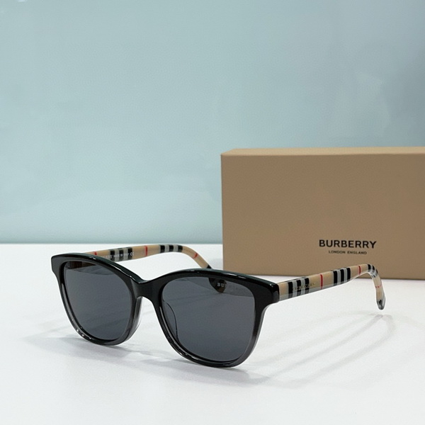 B**rry sunglasses(aaaa)-530