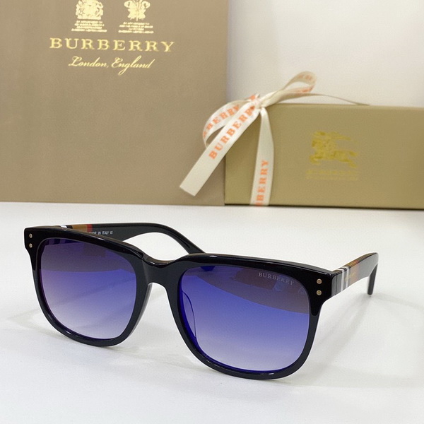 B**rry sunglasses(aaaa)-519