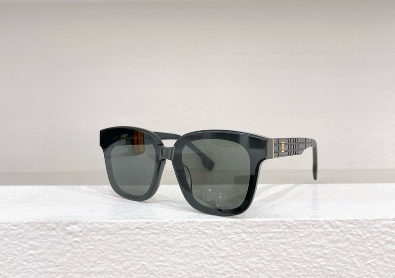 B**rry sunglasses(aaaa)-504