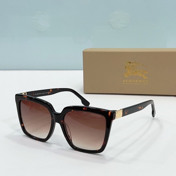 B**rry sunglasses(aaaa)-497
