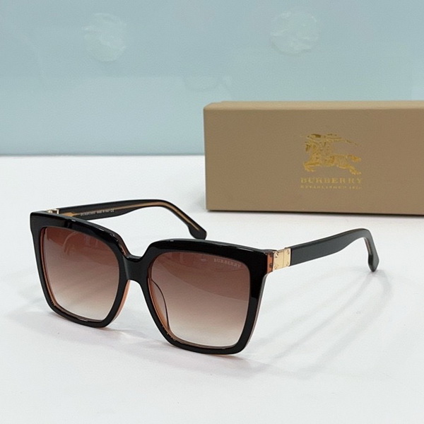 B**rry sunglasses(aaaa)-496
