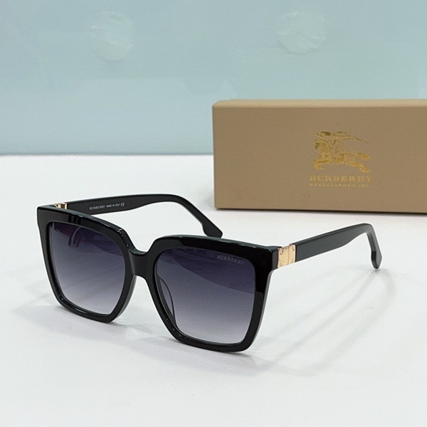 B**rry sunglasses(aaaa)-494