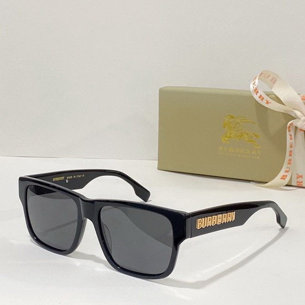 B**rry sunglasses(aaaa)-487
