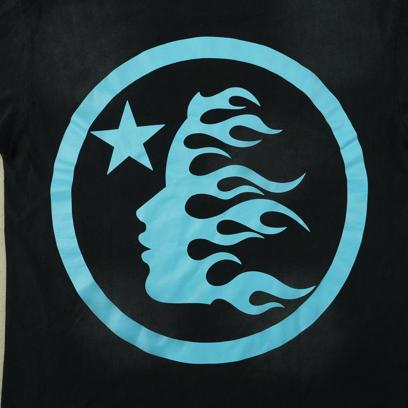 nfc-H*lst*r t-shirts-025