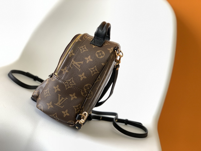 LV Backpack(AAA)-041