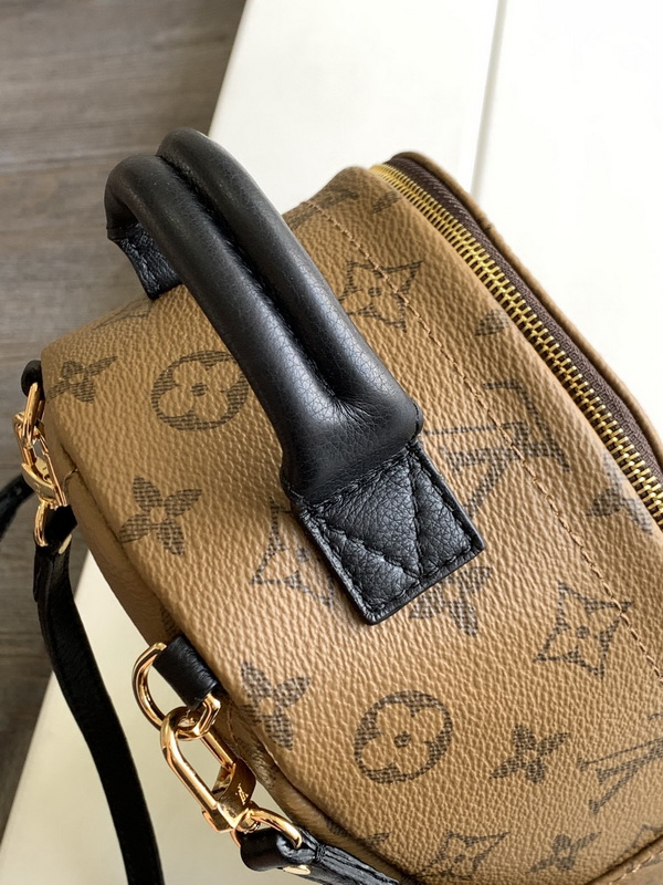 LV Backpack(AAA)-042