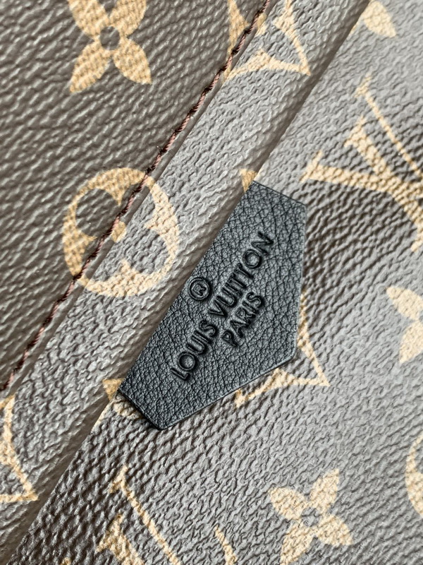 LV Backpack(AAA)-045