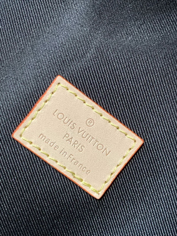 LV Backpack(AAA)-090