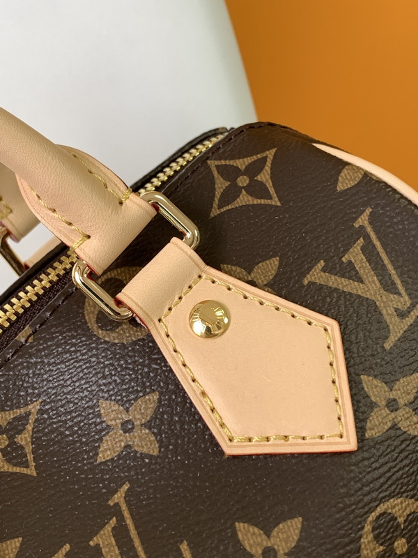 LV Handbags AAA(Women)-437