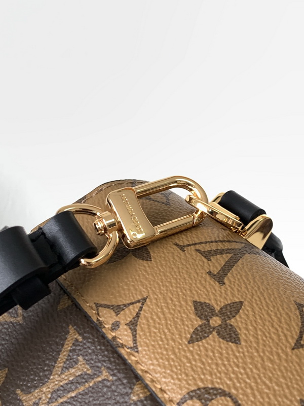 LV Handbags AAA(Women)-1497