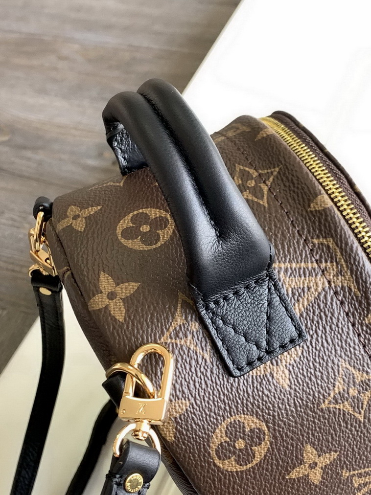 LV Backpack(AAA)-143