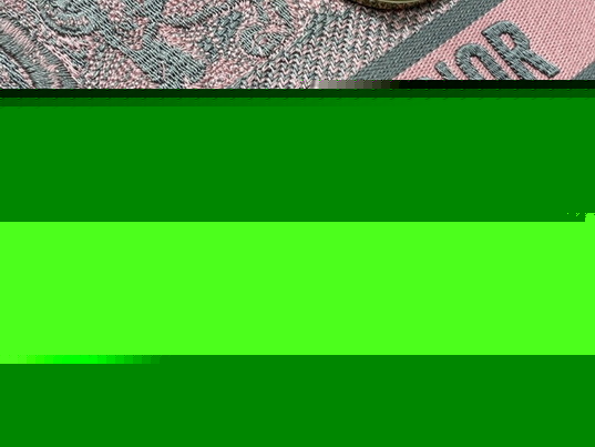 D*or handbags aaa(women)-669