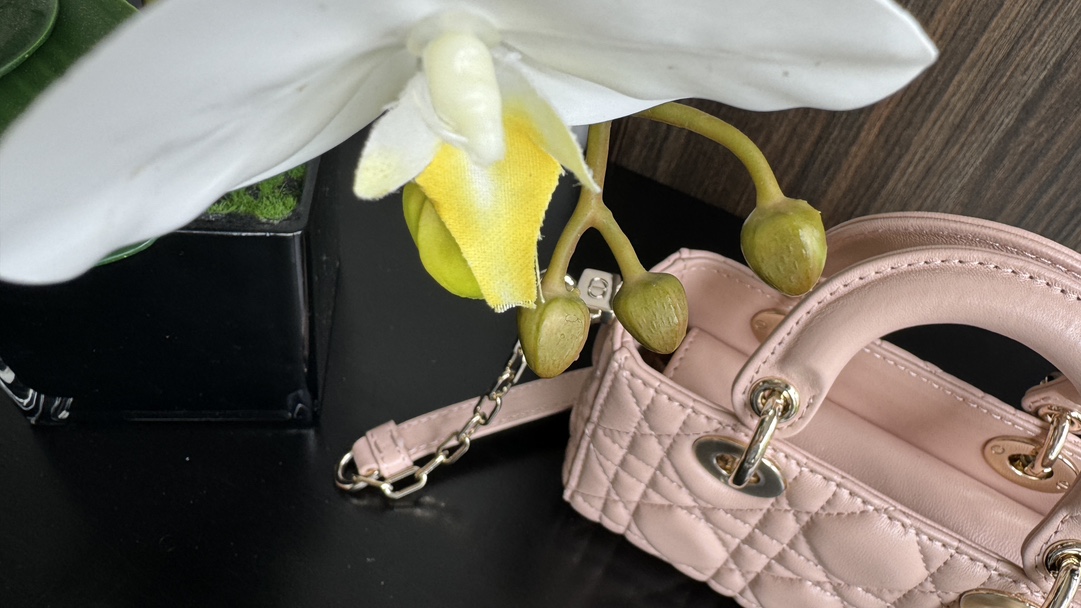 D*or handbags aaa(women)-700