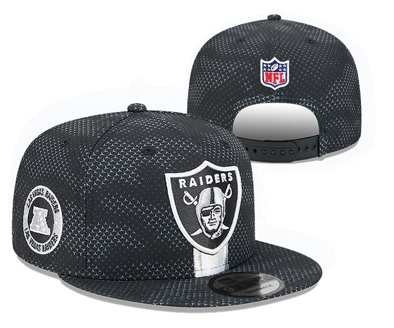 NFL Snapback-084