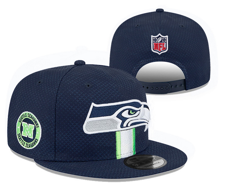 NFL Snapback-022