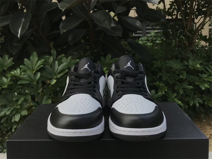 Air Jordan 1 Low-308