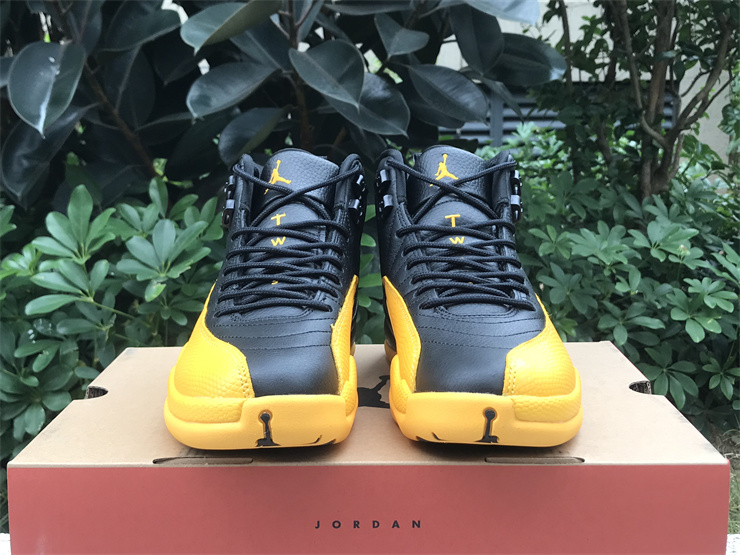 Air Jordan 12 University Gold