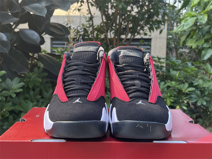 Air Jordan 14 Gym Red
