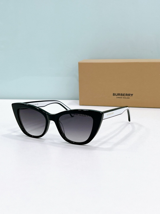 B**rry sunglasses(aaaa)-1152