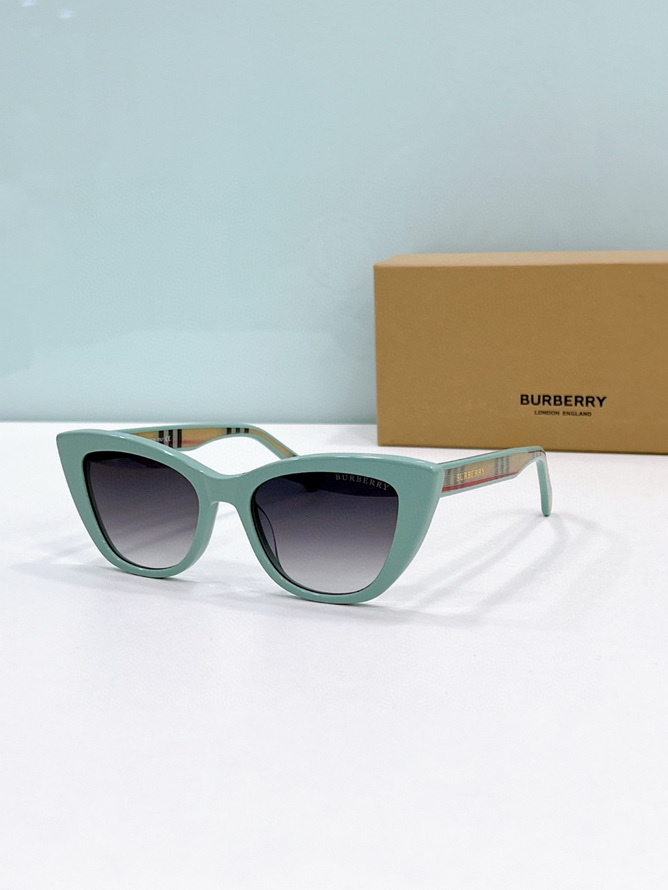 B**rry sunglasses(aaaa)-1149