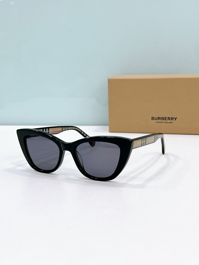 B**rry sunglasses(aaaa)-1148