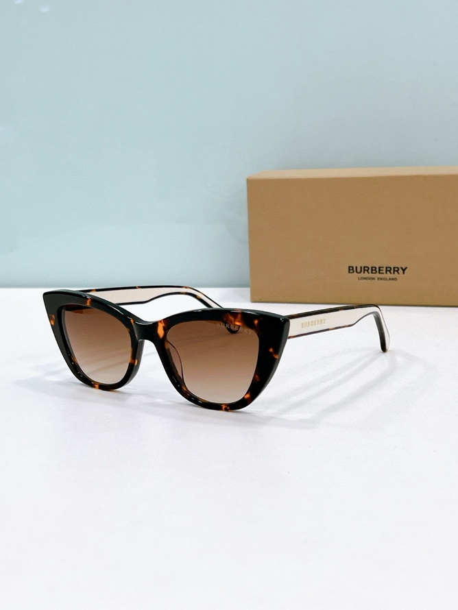B**rry sunglasses(aaaa)-1147