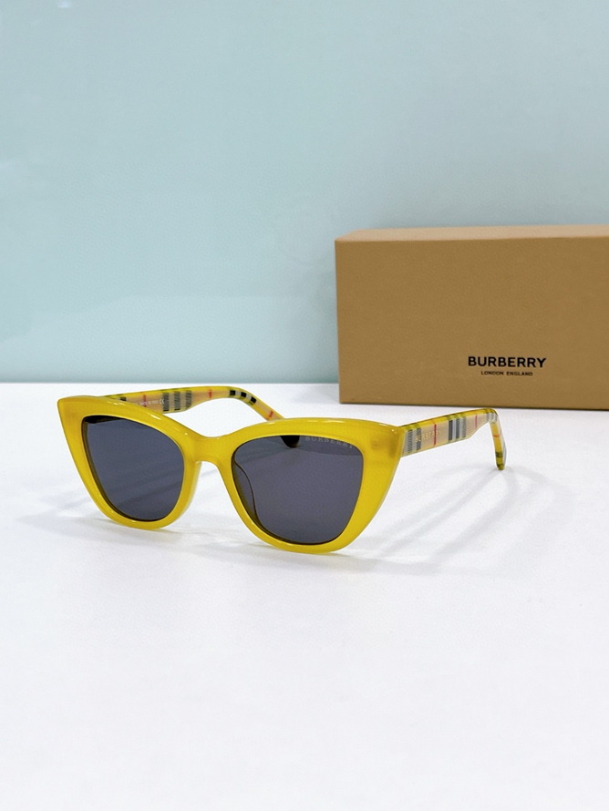 B**rry sunglasses(aaaa)-1143