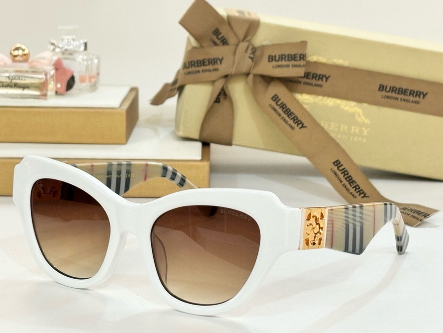 B**rry sunglasses(aaaa)-1142