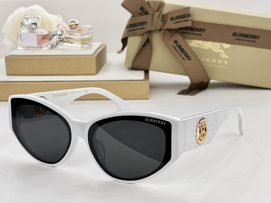 B**rry sunglasses(aaaa)-1136