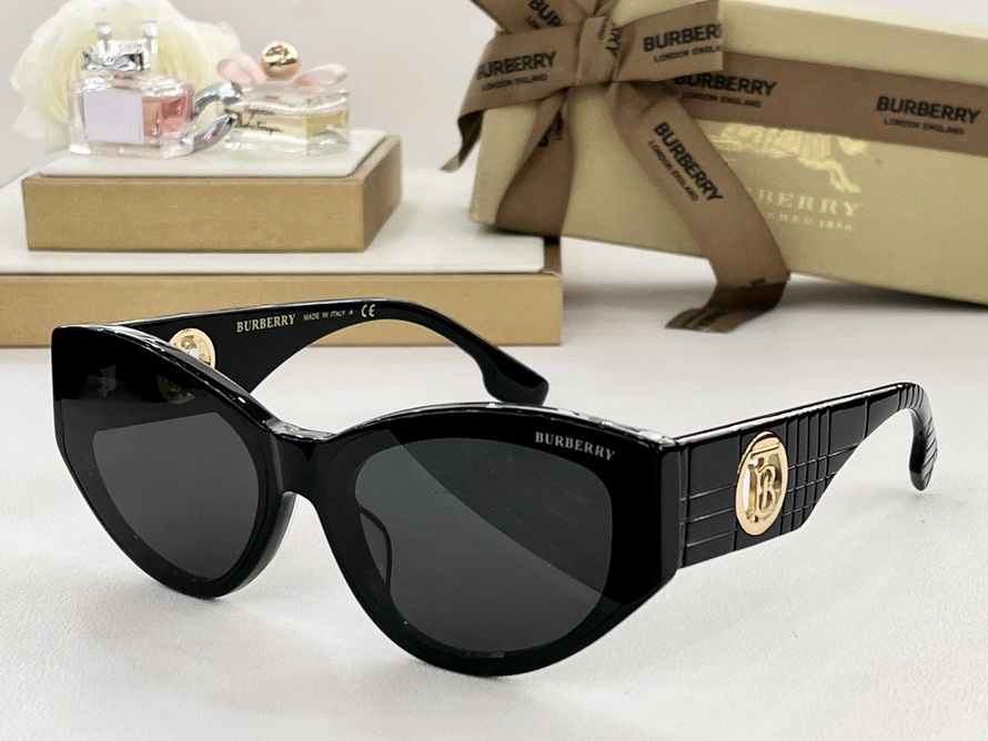 B**rry sunglasses(aaaa)-1137