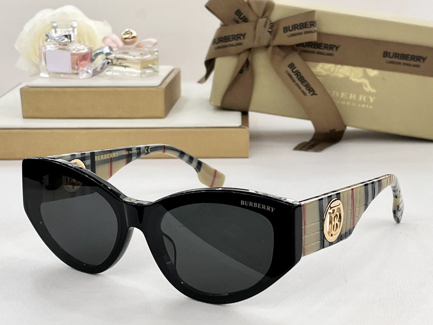 B**rry sunglasses(aaaa)-1135