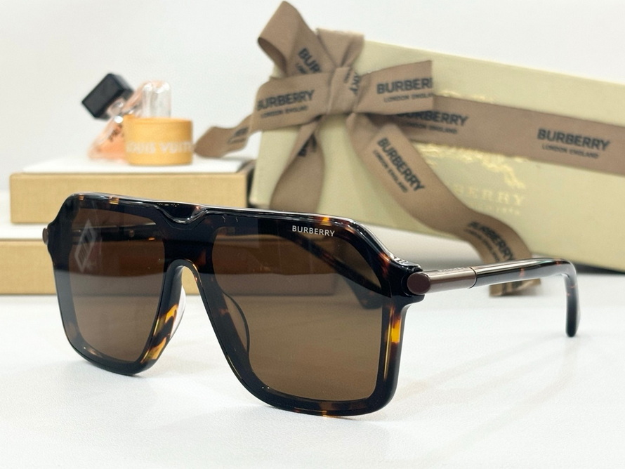 B**rry sunglasses(aaaa)-1129