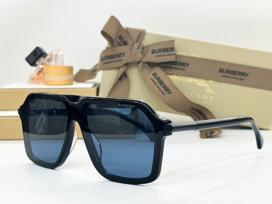 B**rry sunglasses(aaaa)-1128