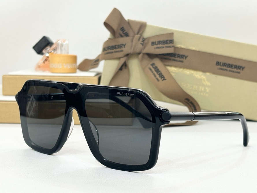 B**rry sunglasses(aaaa)-1127