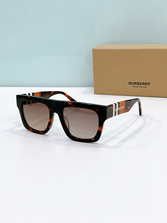 B**rry sunglasses(aaaa)-1067
