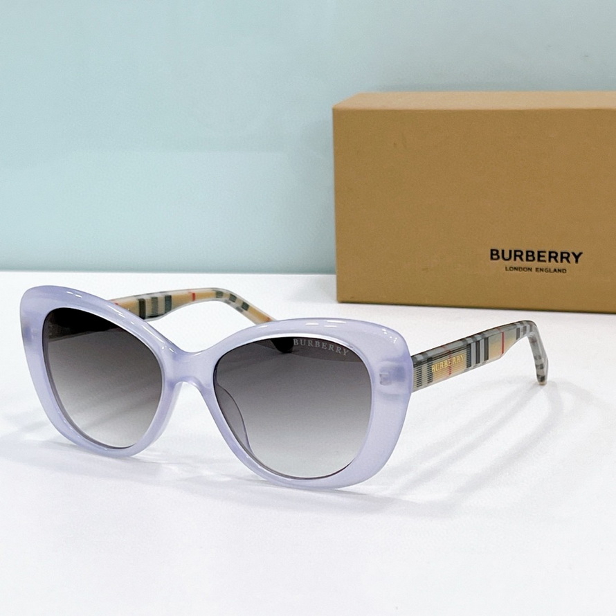 B**rry sunglasses(aaaa)-1062