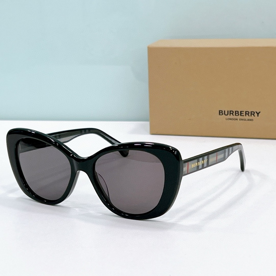 B**rry sunglasses(aaaa)-1060