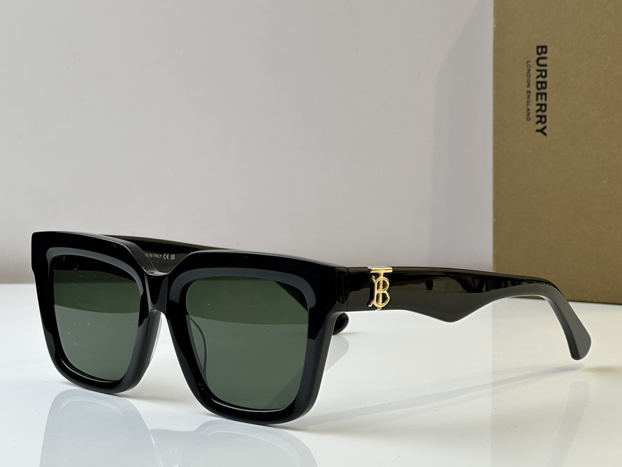 B**rry sunglasses(aaaa)-1040