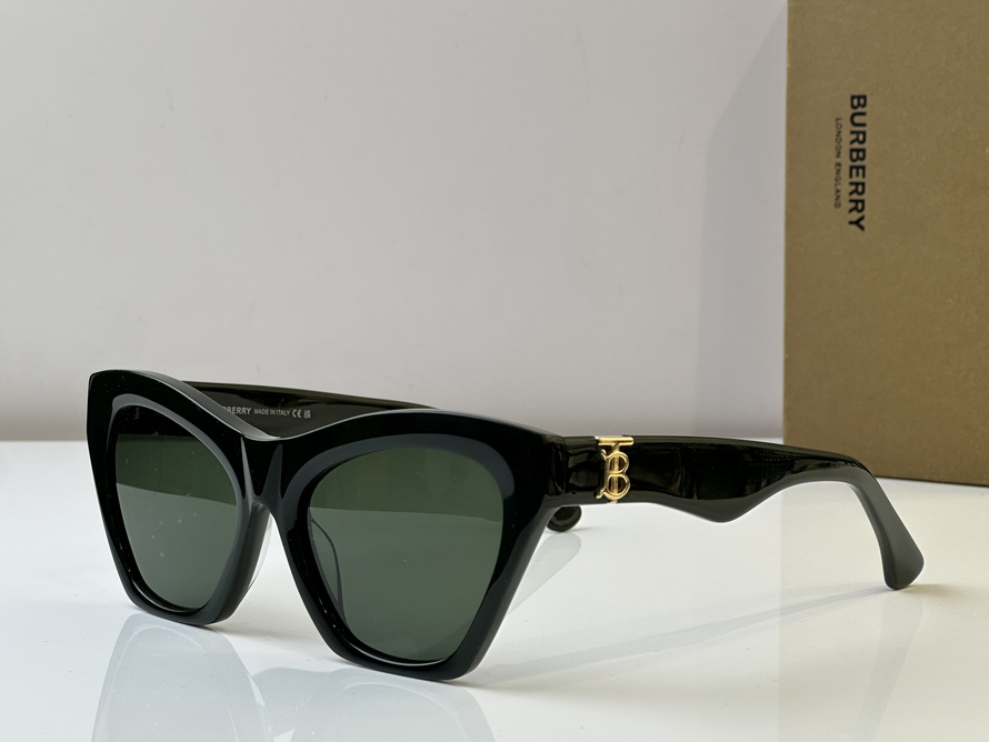 B**rry sunglasses(aaaa)-1034