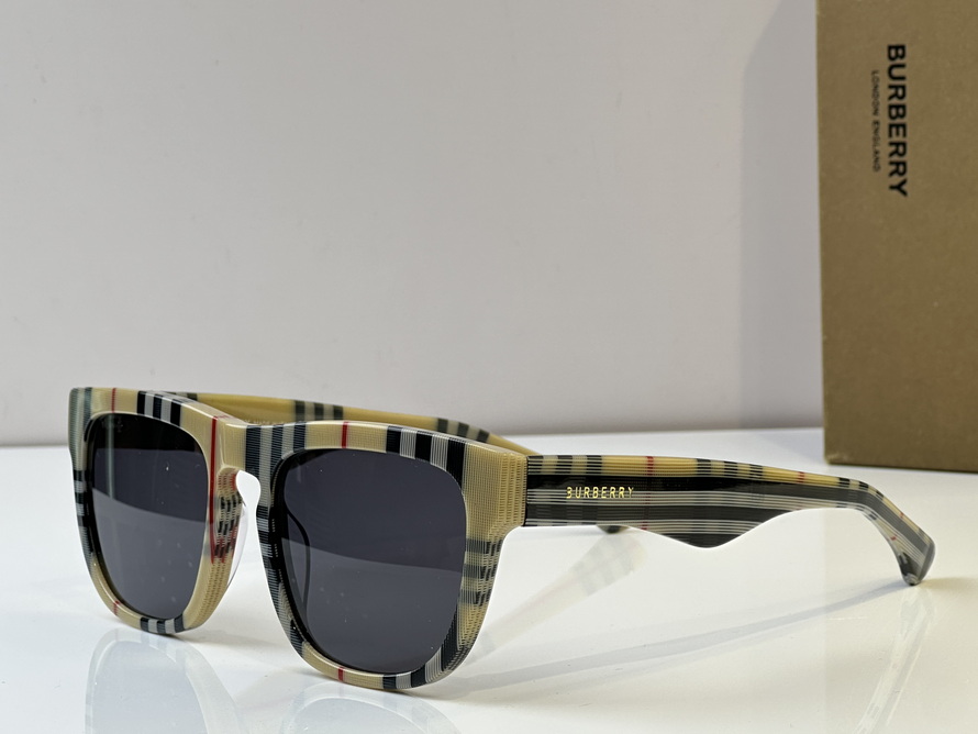 B**rry sunglasses(aaaa)-1020
