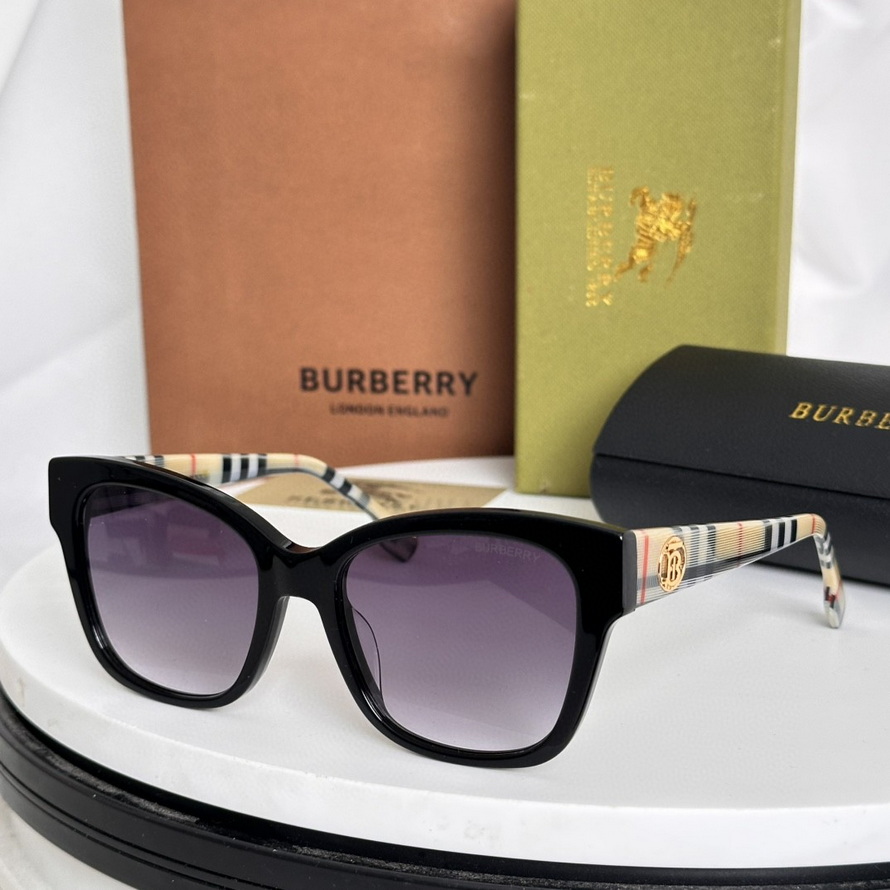 B**rry sunglasses(aaaa)-1003