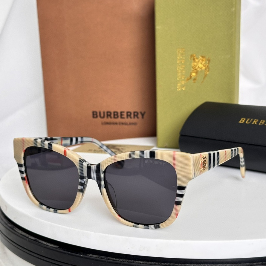 B**rry sunglasses(aaaa)-1002