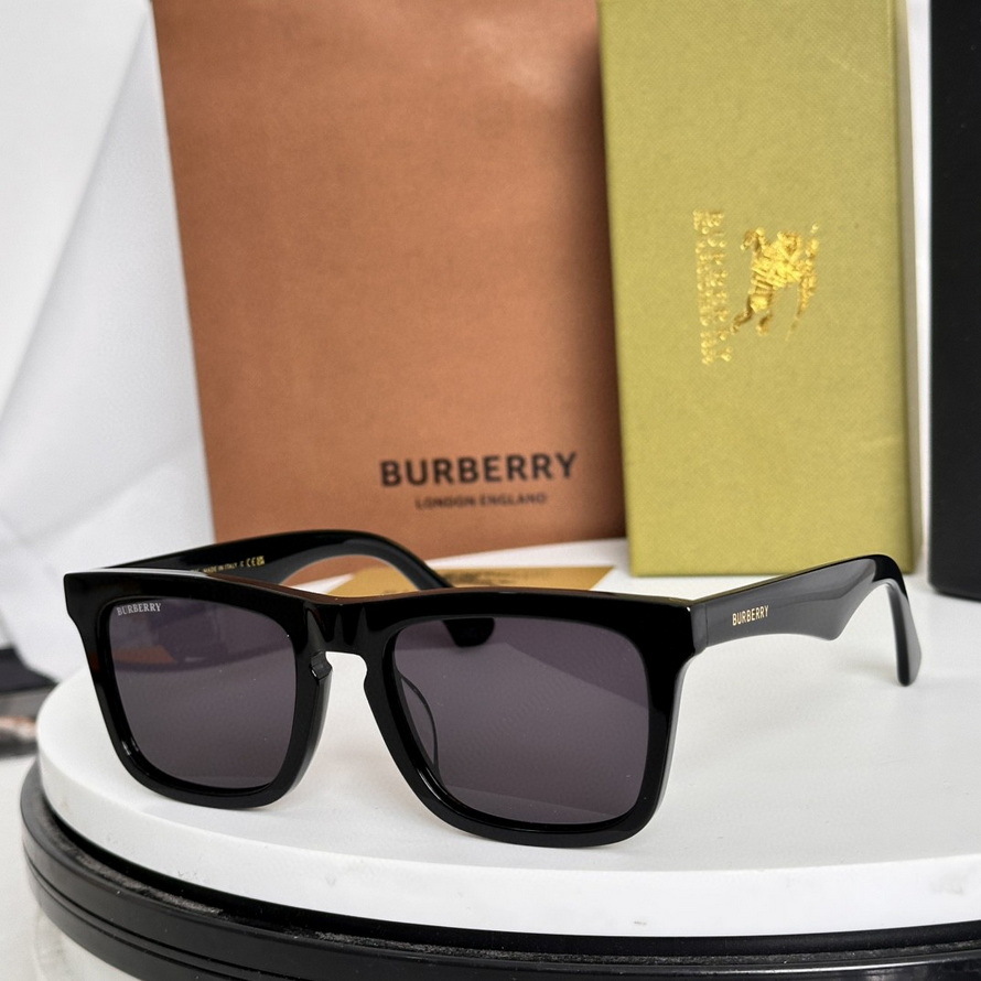 B**rry sunglasses(aaaa)-982