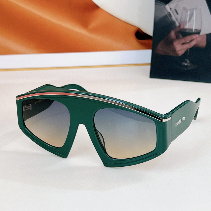 B**rry sunglasses(aaaa)-925