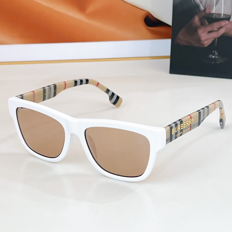 B**rry sunglasses(aaaa)-917