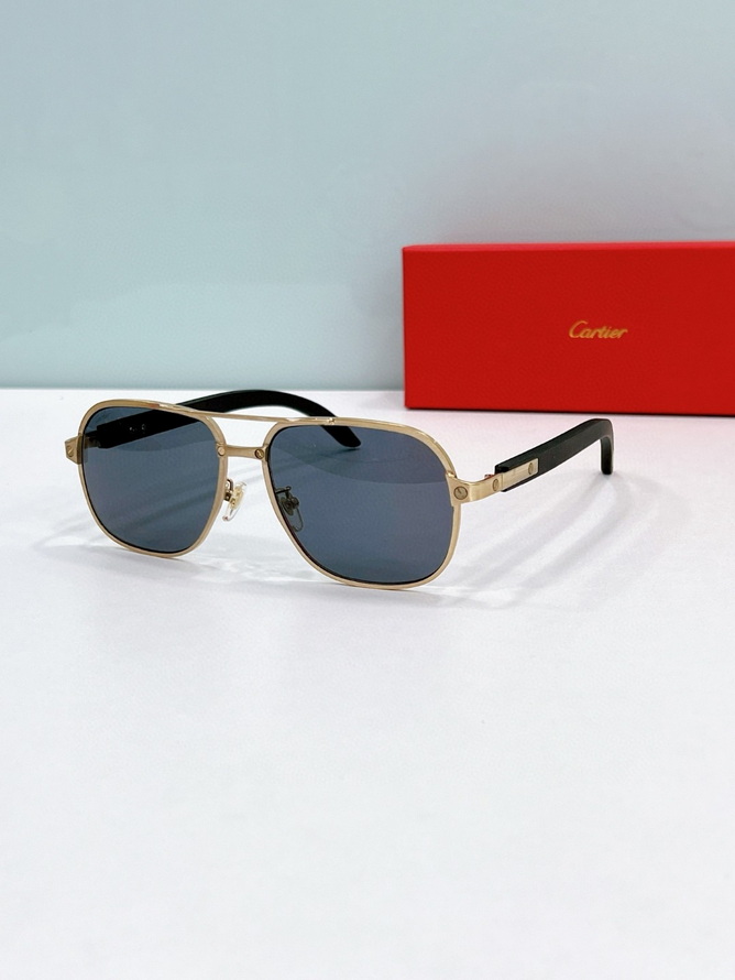 Ca*t*er sunglasses(aaaa)-1738
