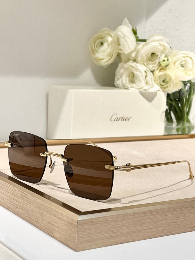 Ca*t*er sunglasses(aaaa)-1529
